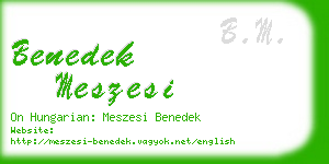 benedek meszesi business card